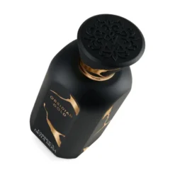 Obsidian Gold Extrait De Parfum 100ml